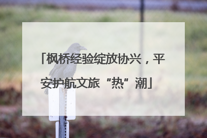 枫桥经验绽放协兴，平安护航文旅“热”潮