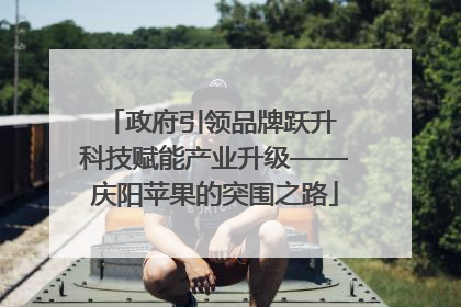 政府引领品牌跃升 科技赋能产业升级——庆阳苹果的突围之路
