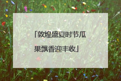 敦煌盛夏时节瓜果飘香迎丰收