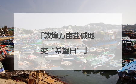 敦煌万亩盐碱地变“希望田”