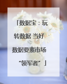数据宝：玩转数据 当好数据要素市场“领军者”