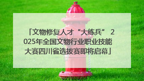 文物修复人才“大练兵” 2025年全国文物行业职业技能大赛四川省选拔赛即将启幕