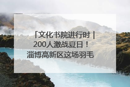 文化书院进行时｜200人激战夏日！淄博高新区这场羽毛球比赛太酷