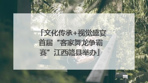文化传承+视觉盛宴 首届“客家舞龙争霸赛”江西赣县举办