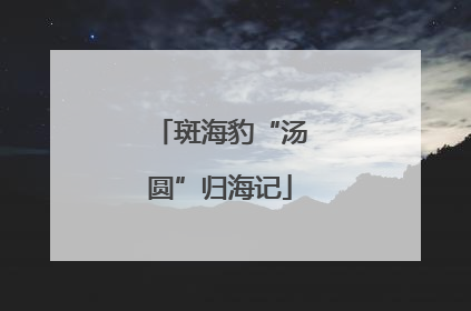 斑海豹“汤圆”归海记