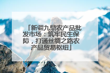 新疆九鼎农产品批发市场：筑牢民生保障，打通丝绸之路农产品贸易枢纽