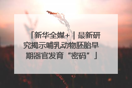 新华全媒+｜最新研究揭示哺乳动物胚胎早期器官发育“密码”