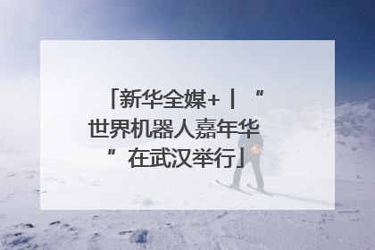 新华全媒+丨“世界机器人嘉年华”在武汉举行