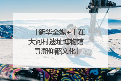 新华全媒+丨在大河村遗址博物馆寻溯仰韶文化