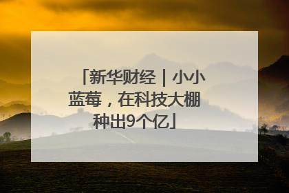新华财经｜小小蓝莓，在科技大棚种出9个亿