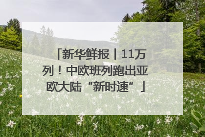 新华鲜报丨11万列！中欧班列跑出亚欧大陆“新时速”