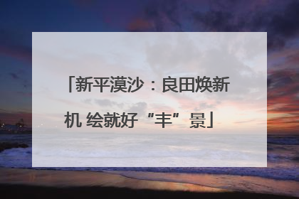 新平漠沙：良田焕新机 绘就好“丰”景
