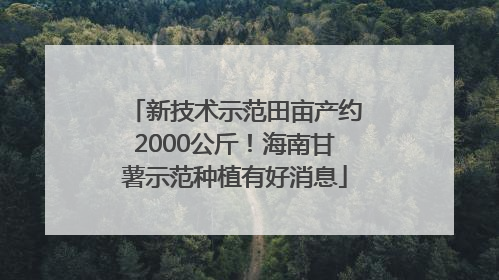 新技术示范田亩产约2000公斤！海南甘薯示范种植有好消息