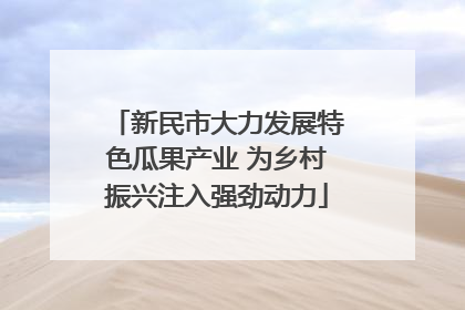 新民市大力发展特色瓜果产业 为乡村振兴注入强劲动力