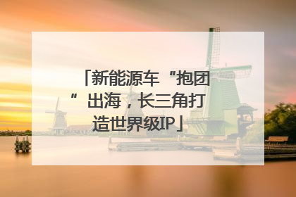 新能源车“抱团”出海，长三角打造世界级IP