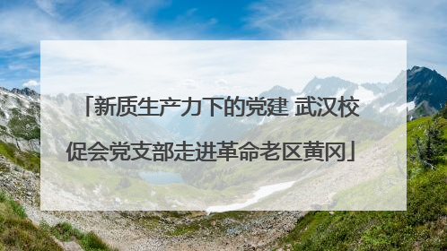 新质生产力下的党建 武汉校促会党支部走进革命老区黄冈