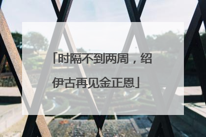 时隔不到两周，绍伊古再见金正恩