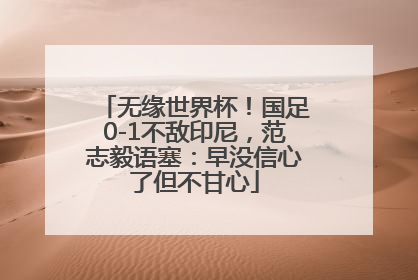 无缘世界杯！国足0-1不敌印尼，范志毅语塞：早没信心了但不甘心