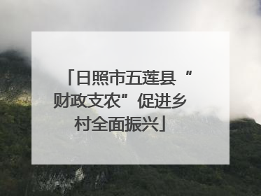 日照市五莲县“财政支农”促进乡村全面振兴