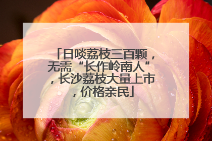 日啖荔枝三百颗，无需“长作岭南人”，长沙荔枝大量上市，价格亲民
