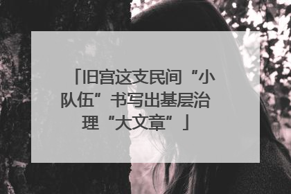 旧宫这支民间“小队伍”书写出基层治理“大文章”