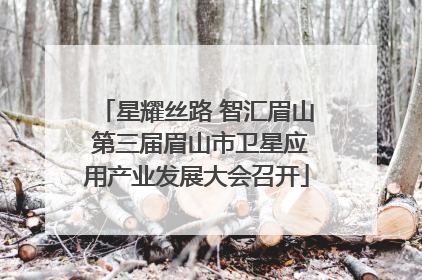 星耀丝路 智汇眉山 第三届眉山市卫星应用产业发展大会召开