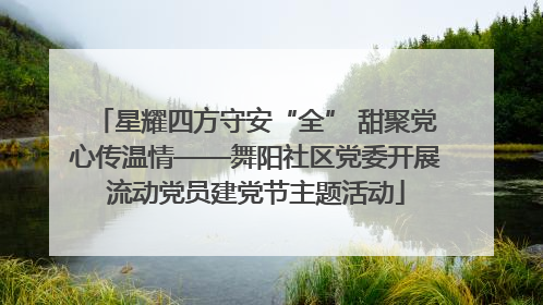 星耀四方守安“全” 甜聚党心传温情——舞阳社区党委开展流动党员建党节主题活动