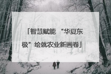 智慧赋能 “华夏东极”绘就农业新画卷