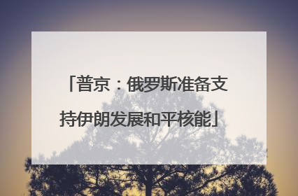 普京：俄罗斯准备支持伊朗发展和平核能