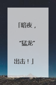 暗夜，“猛龙”出击！