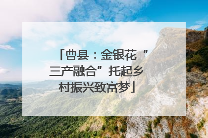 曹县：金银花“三产融合”托起乡村振兴致富梦