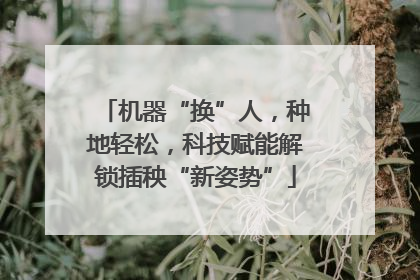 机器“换”人，种地轻松，科技赋能解锁插秧“新姿势”