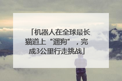 机器人在全球最长猫道上“遛狗”，完成3公里行走挑战