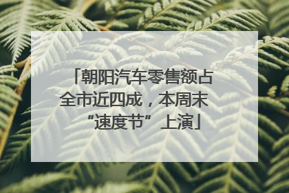 朝阳汽车零售额占全市近四成，本周末“速度节”上演
