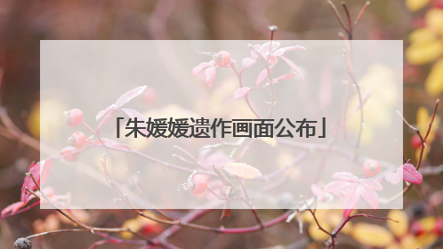朱媛媛遗作画面公布