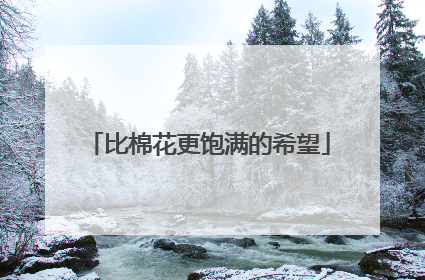 比棉花更饱满的希望