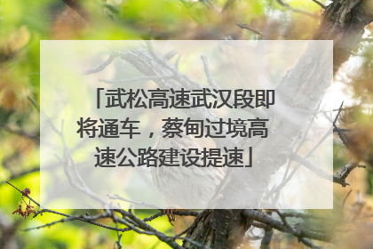 武松高速武汉段即将通车，蔡甸过境高速公路建设提速
