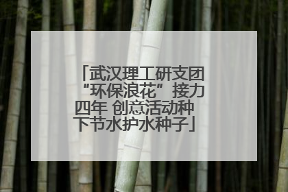 武汉理工研支团“环保浪花”接力四年 创意活动种下节水护水种子