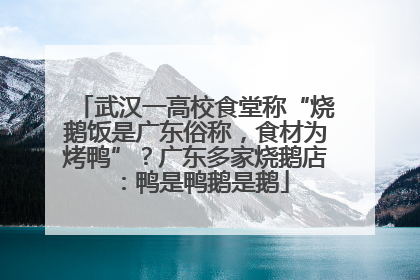 武汉一高校食堂称“烧鹅饭是广东俗称，食材为烤鸭”？广东多家烧鹅店：鸭是鸭鹅是鹅