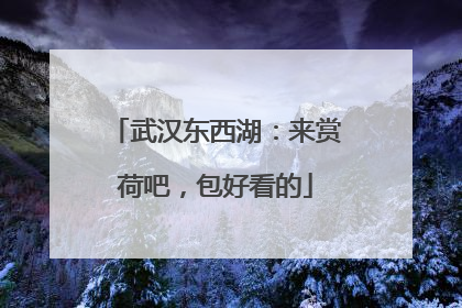 武汉东西湖：来赏荷吧，包好看的