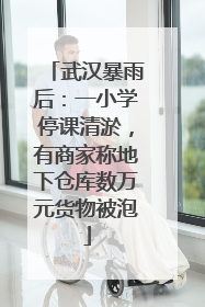武汉暴雨后：一小学停课清淤，有商家称地下仓库数万元货物被泡