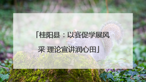桂阳县：以赛促学展风采 理论宣讲润心田