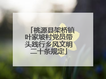 桃源县架桥镇叶家坡村党员带头践行乡风文明二十条规定