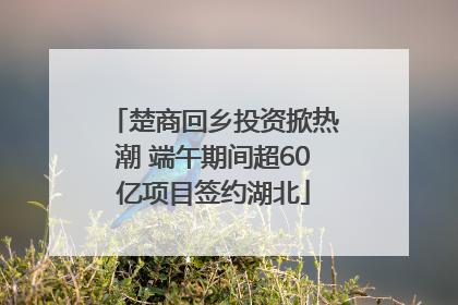 楚商回乡投资掀热潮 端午期间超60亿项目签约湖北
