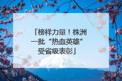 榜样力量！株洲一批“热血英雄”受省级表彰