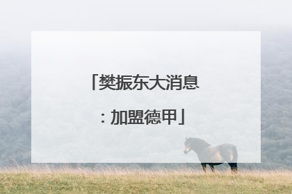 樊振东大消息：加盟德甲