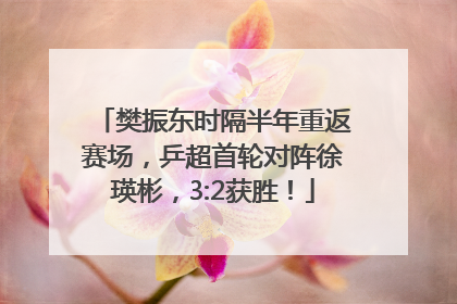 樊振东时隔半年重返赛场，乒超首轮对阵徐瑛彬，3:2获胜！