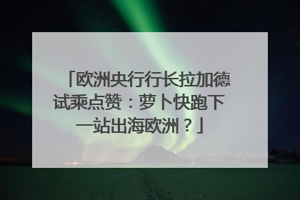 欧洲央行行长拉加德试乘点赞：萝卜快跑下一站出海欧洲？