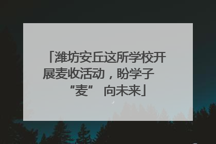 潍坊安丘这所学校开展麦收活动，盼学子 “麦” 向未来