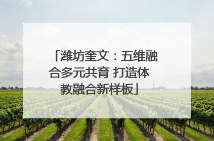 潍坊奎文：五维融合多元共育 打造体教融合新样板